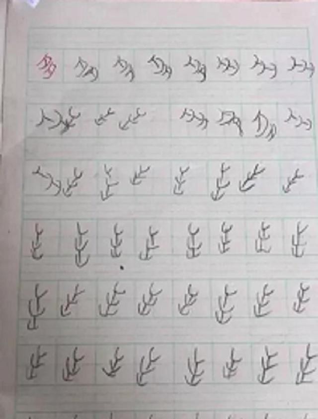 小学生工整的练字作业,小学生练字400字