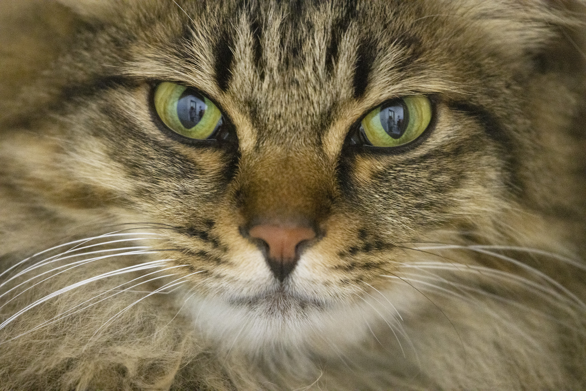 r5佳能24-70f2.8套机,佳能r5无反之战评测