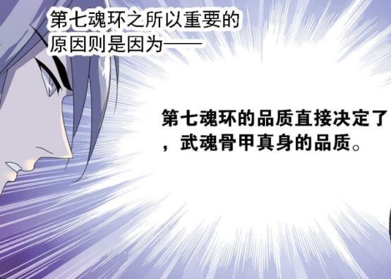 盘点斗罗大陆封号斗罗的魂环,斗罗大陆封号斗罗实力对比