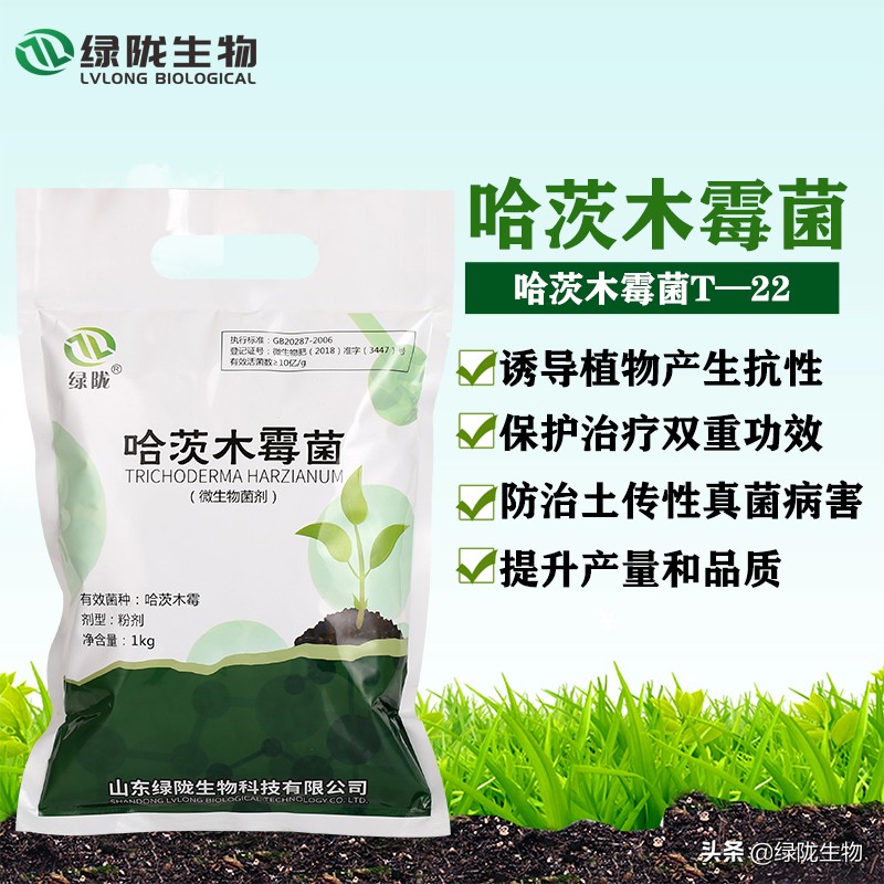 植物真菌病害和细菌病害有啥区别,真菌病害和细菌病害有啥区别