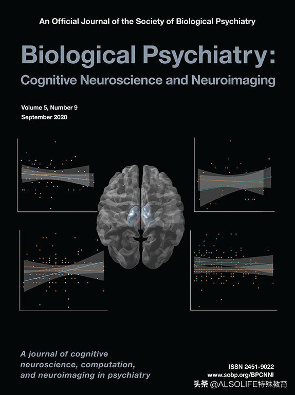 自闭症10年前的征兆,自闭症的脑部发育图