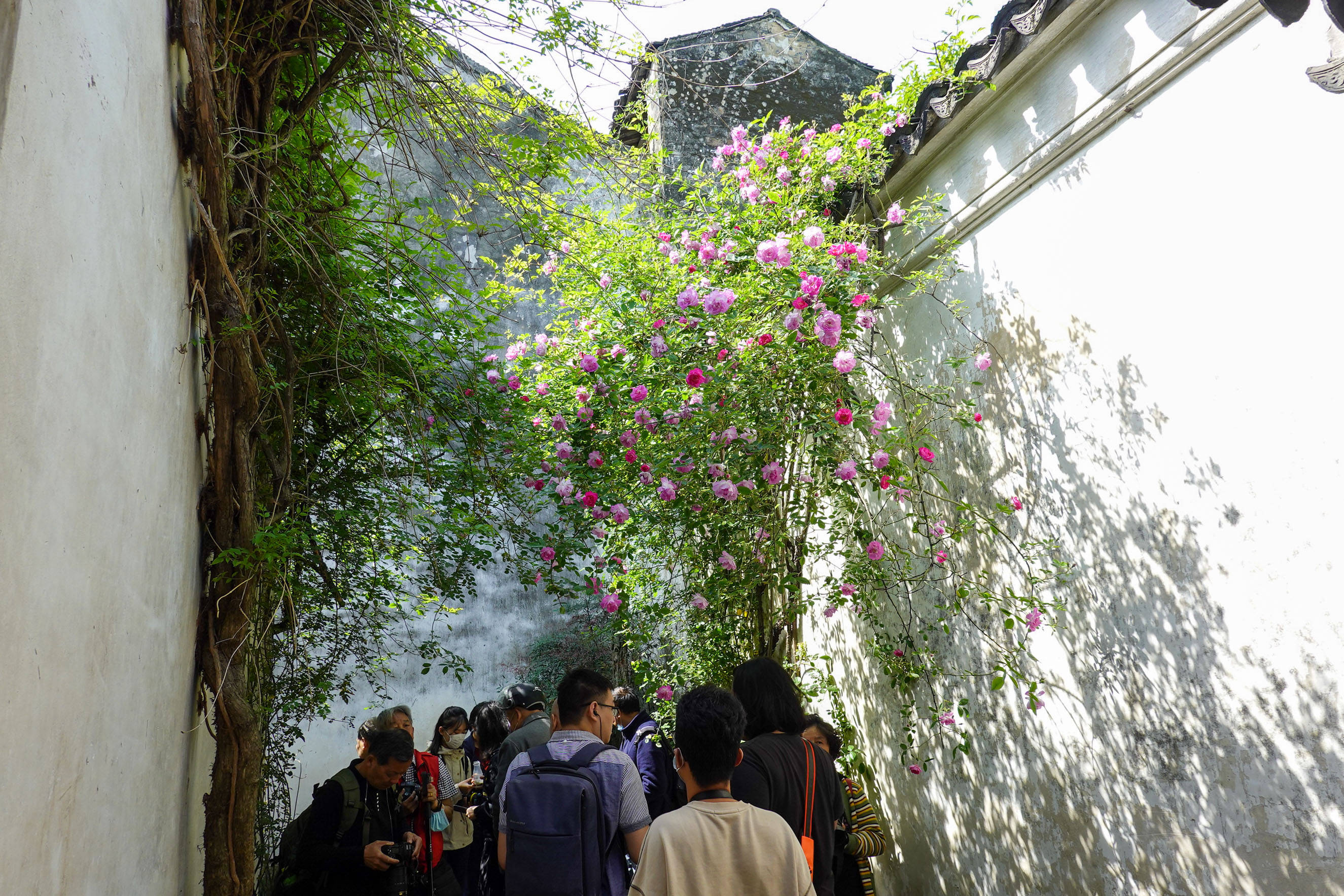 鑻忓窞鏃呮父灏忎紬鏃呮父鏀荤暐,鑻忓窞鏃呮父鏀荤暐灏忎紬鏅偣鎺ㄨ崘