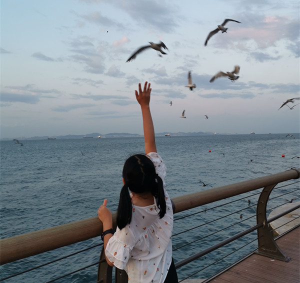 大连老虎滩帆船出海一日游,老虎滩金石滩棒棰岛