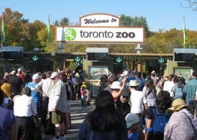 海狸是加拿大的国宝吗,加拿大国宝动物河狸简介