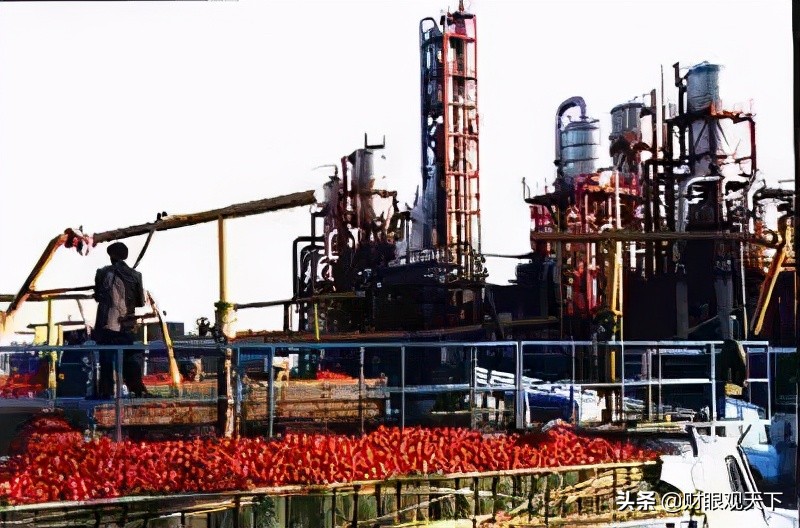 连*疆新**人都不知道的*疆新**工业