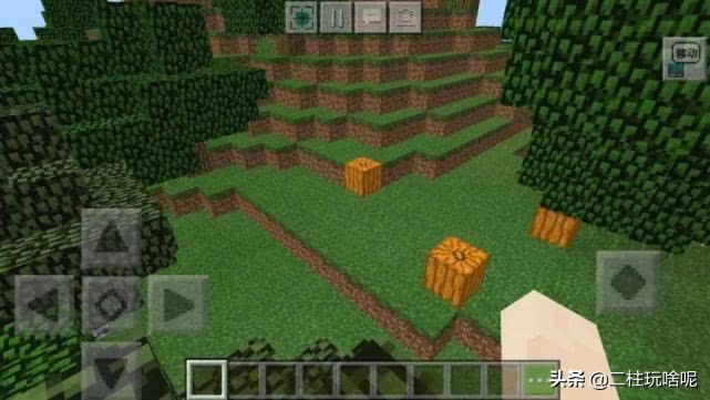 十大珍稀植物排行榜,中国十大珍稀植物排名