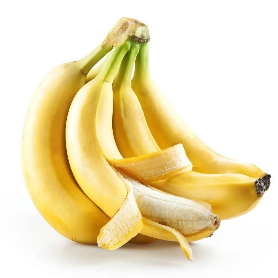 夏季儿童吃什么水果最好最有营养,孩子咳嗽吃什么水果最好