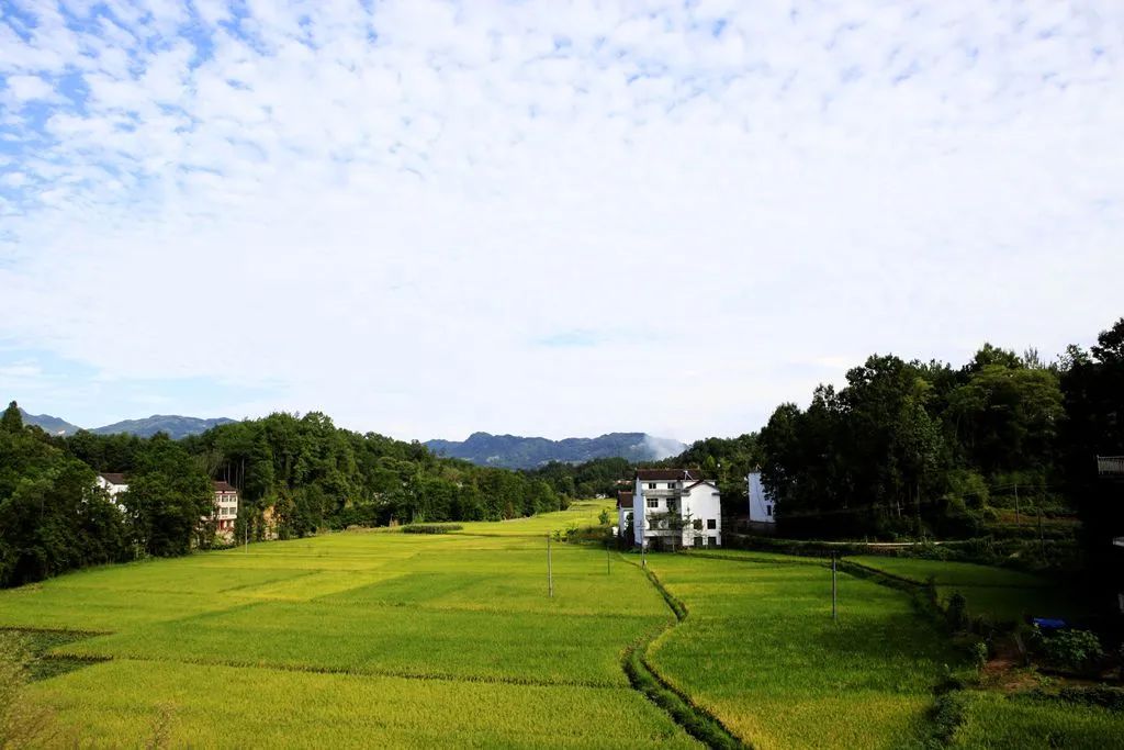 汉中龙池湖攻略,汉中龙池湖简介