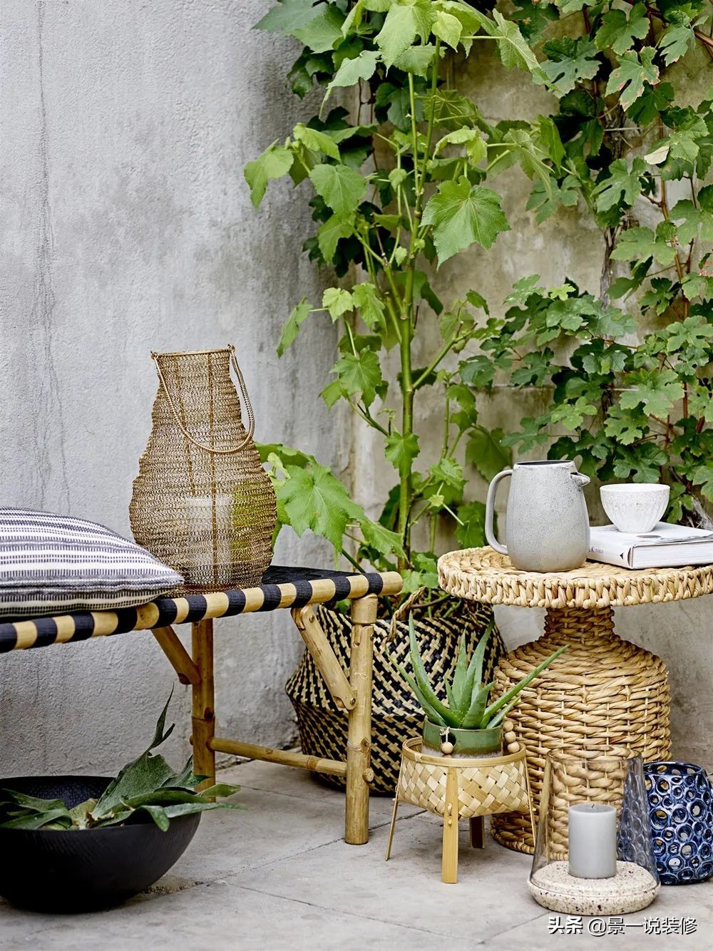 室内植物的摆放设计及养护,室内什么盆栽植物好养护呢