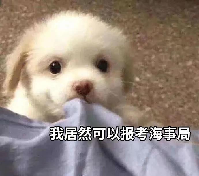 国考海关职位好吗,国考海关和税务哪个好