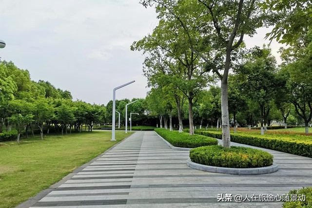 南京面积最大的公园，美不胜收却被游客忽略