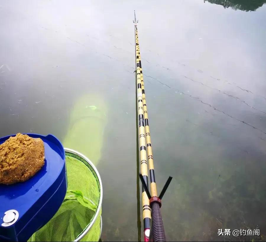 如果只买两支鱼竿怎么选,买鱼竿用什么竿子好