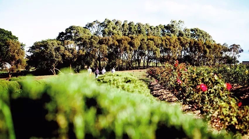 日常护肤该涂哪些产品呢,脸部涂什么护肤品护肤好