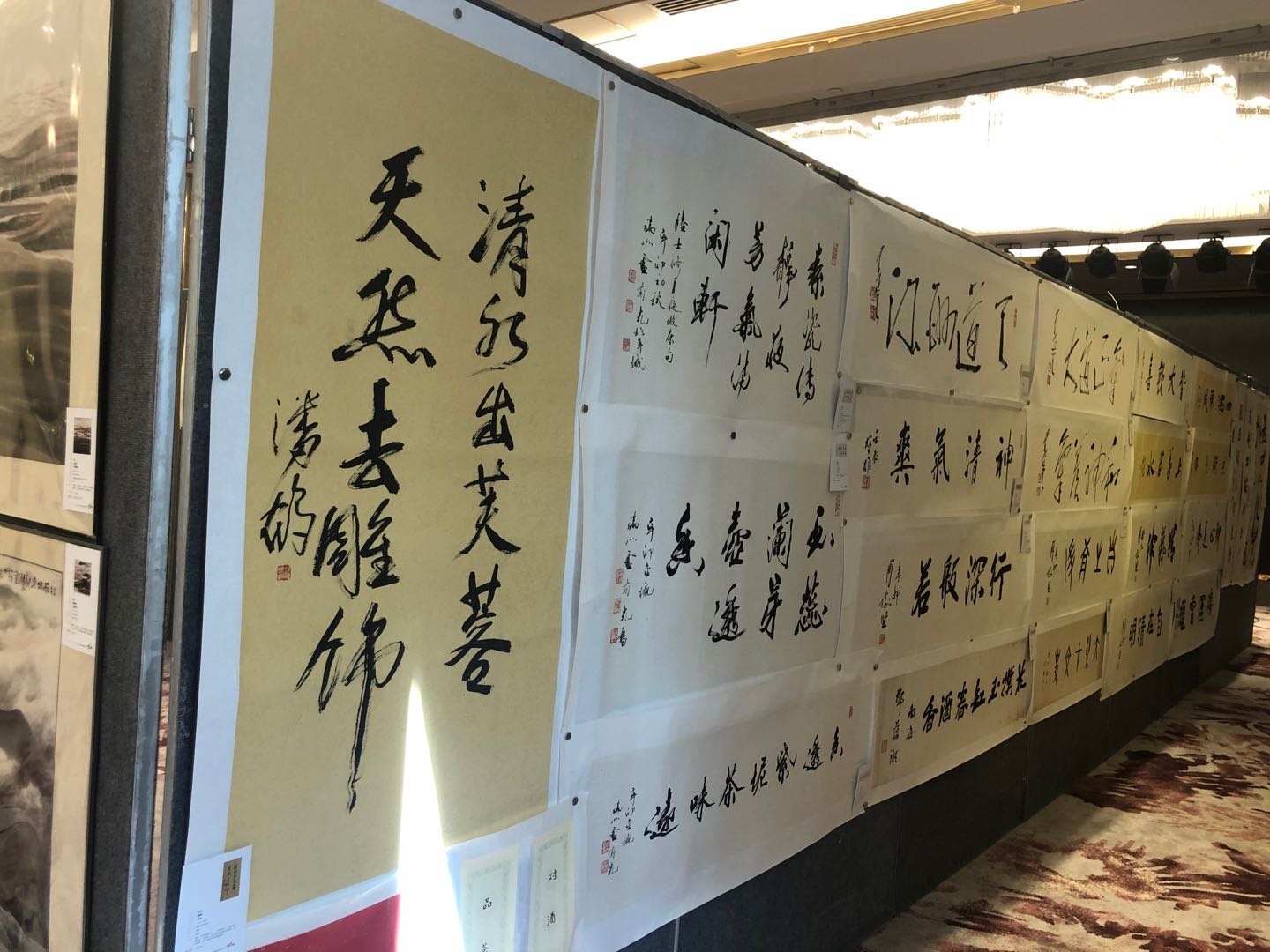 浩宏直播录像回放,浩宏最新消息