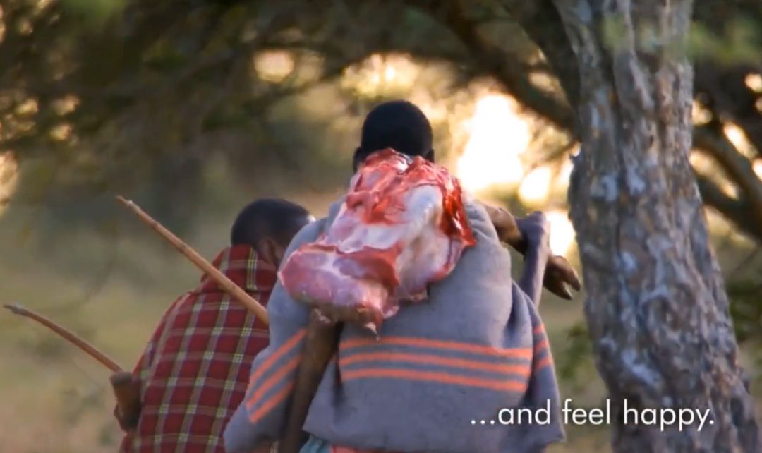 非洲马赛人:从狮口夺食的“战斗民族”