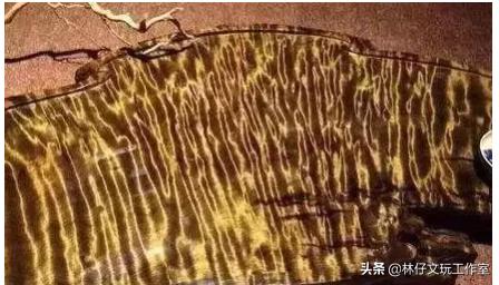 东方神木馆里的金丝楠木有多长,神木金丝楠木