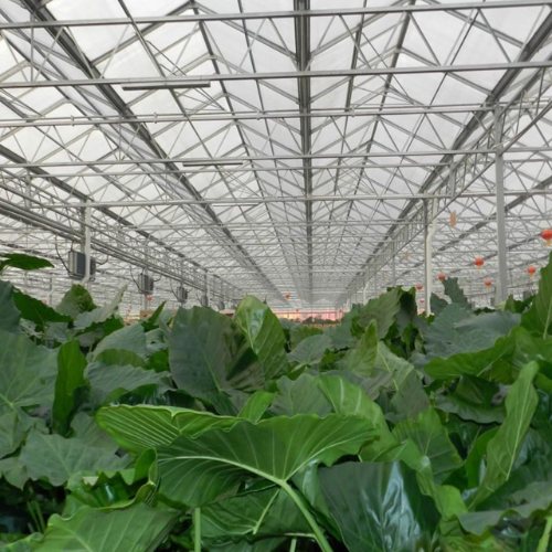 阳光板薄膜温室大棚一亩多少钱,阳光板温室大棚建造价格一览表