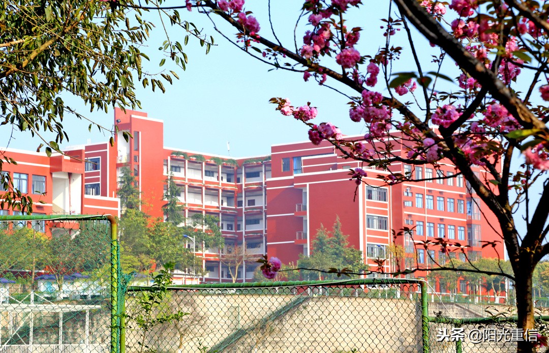 贵州省高职分类招生录取分数线,安徽省高职分类招生考试时间