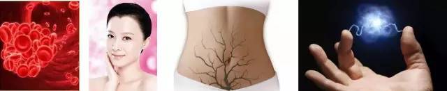 第六元素黑科技,第五元素神器