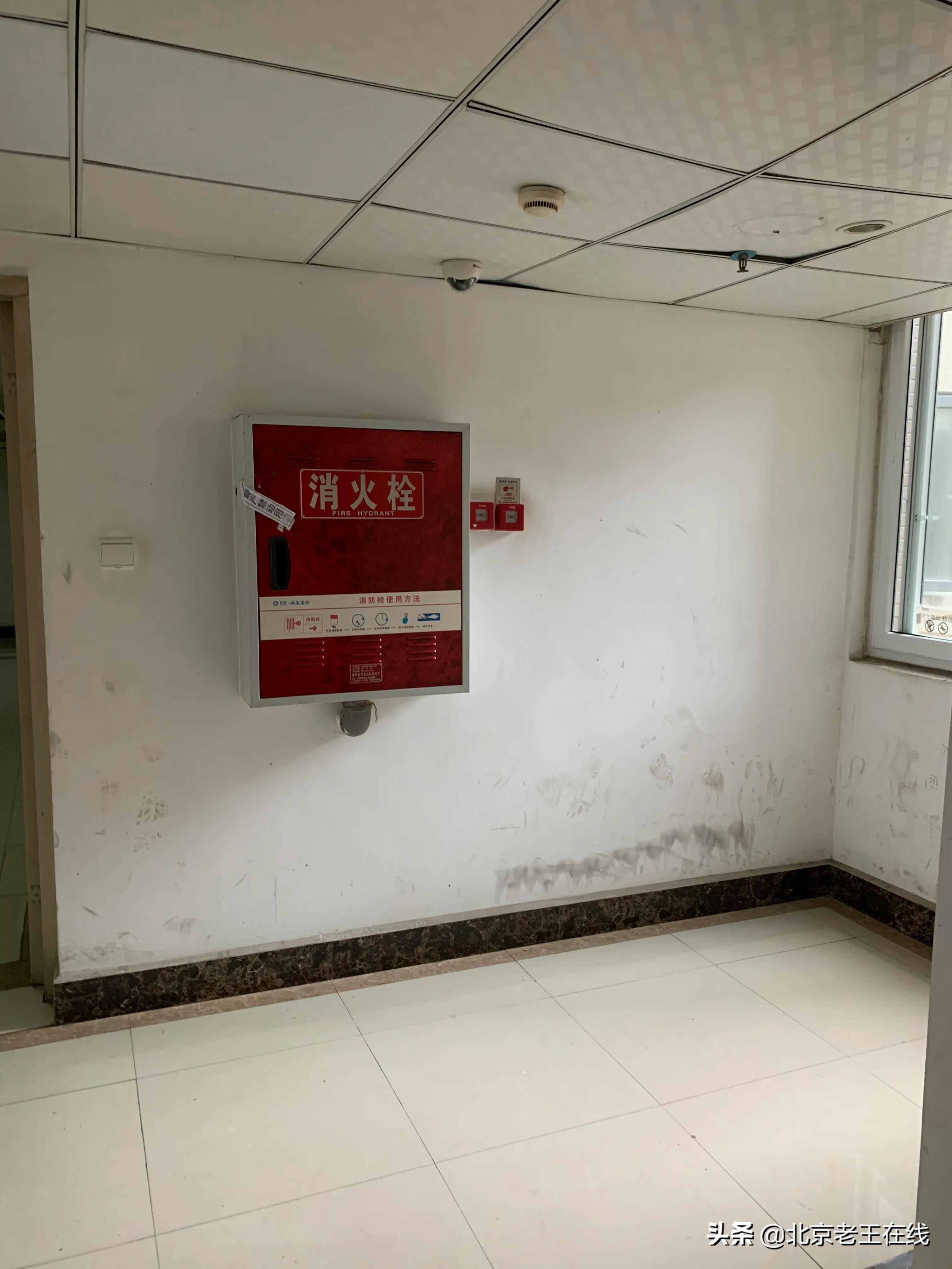 川渝8日出游,成都旅游如何选择民宿更安全