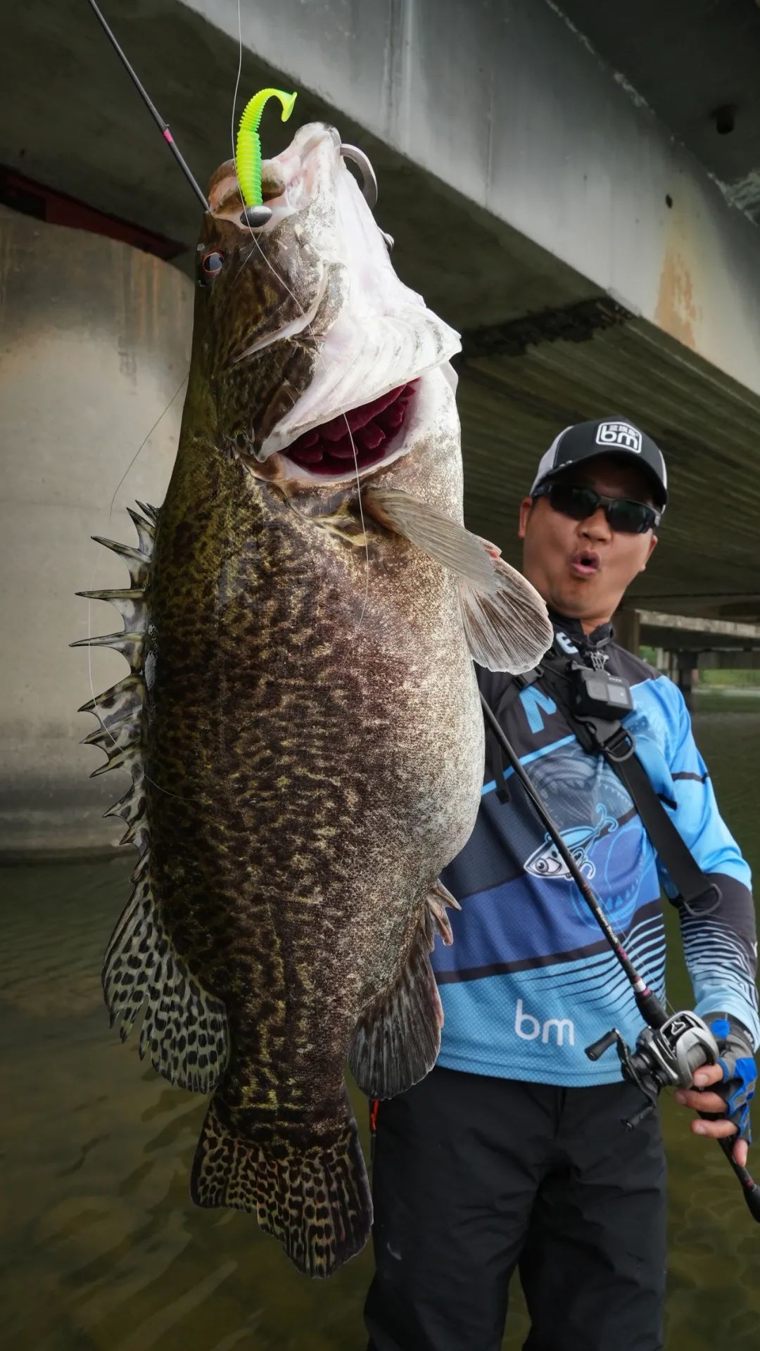 桥桩路亚鳜鱼后多久有鱼,铅头软饵钓鳜鱼手法