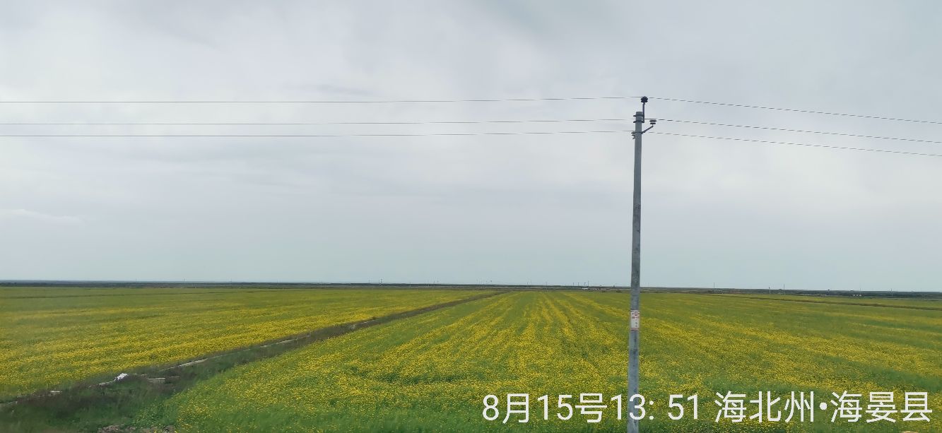 重庆西到拉萨z223列车,重庆西到拉萨z223列车多少钱