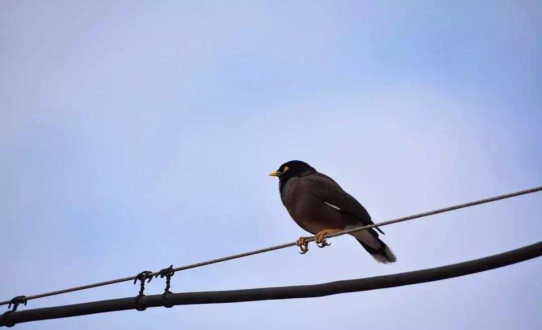 220v电压会电死人吗,220v电压能电死鱼吗