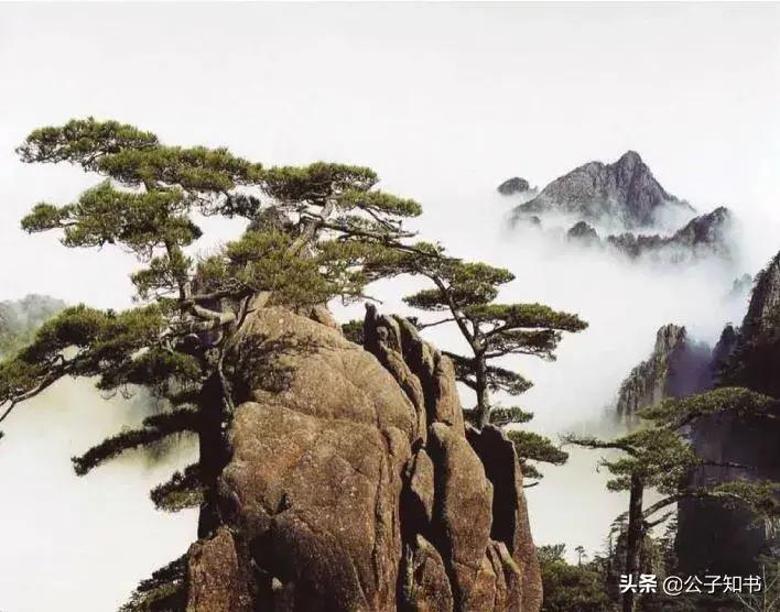 中华神洲祥天蓝，美国疫地多熬煎。