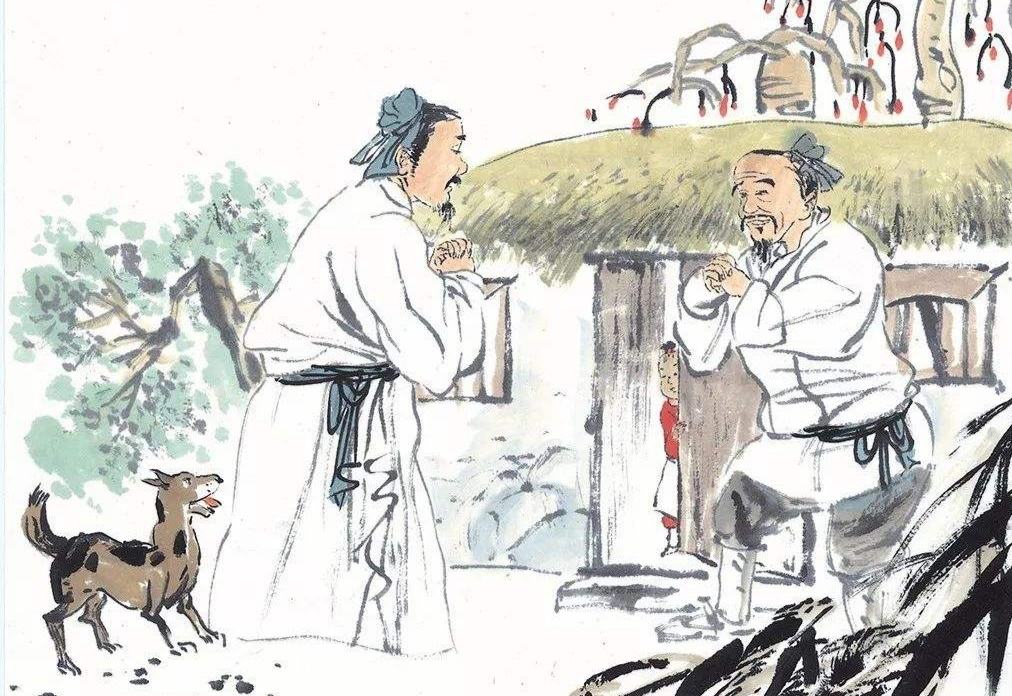 老实人不会识人记住这5句话,老实人没心眼怎么办