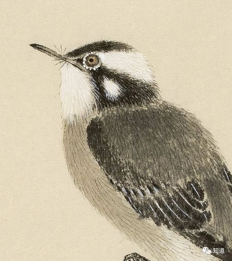 春天的脚步近了好像一切都醒来了,春天的脚步已经悄然而至