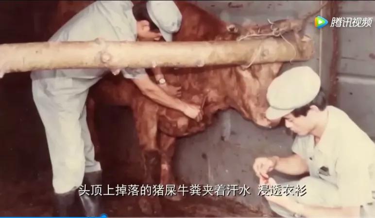 三趟快车|不为人知的“赶车人”（二）