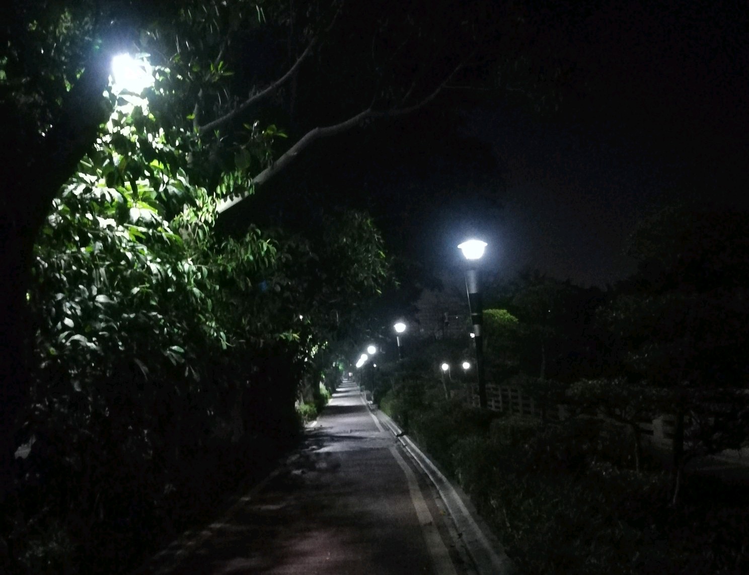 浜虹敓鐧藉,浜虹敓榛戠櫧鍒嗘槑