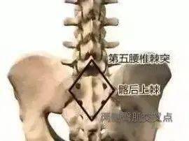 有两个腰窝还有个凹窝,为什么有的人后腰有窝窝