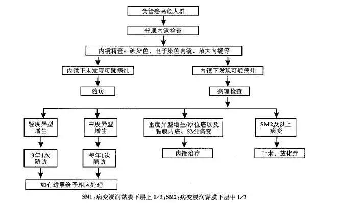 关于降压药，你或许还可以了解一下这些？