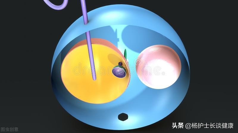 皮质醇低会不会骨质疏松,皮质醇增多症可以治好么