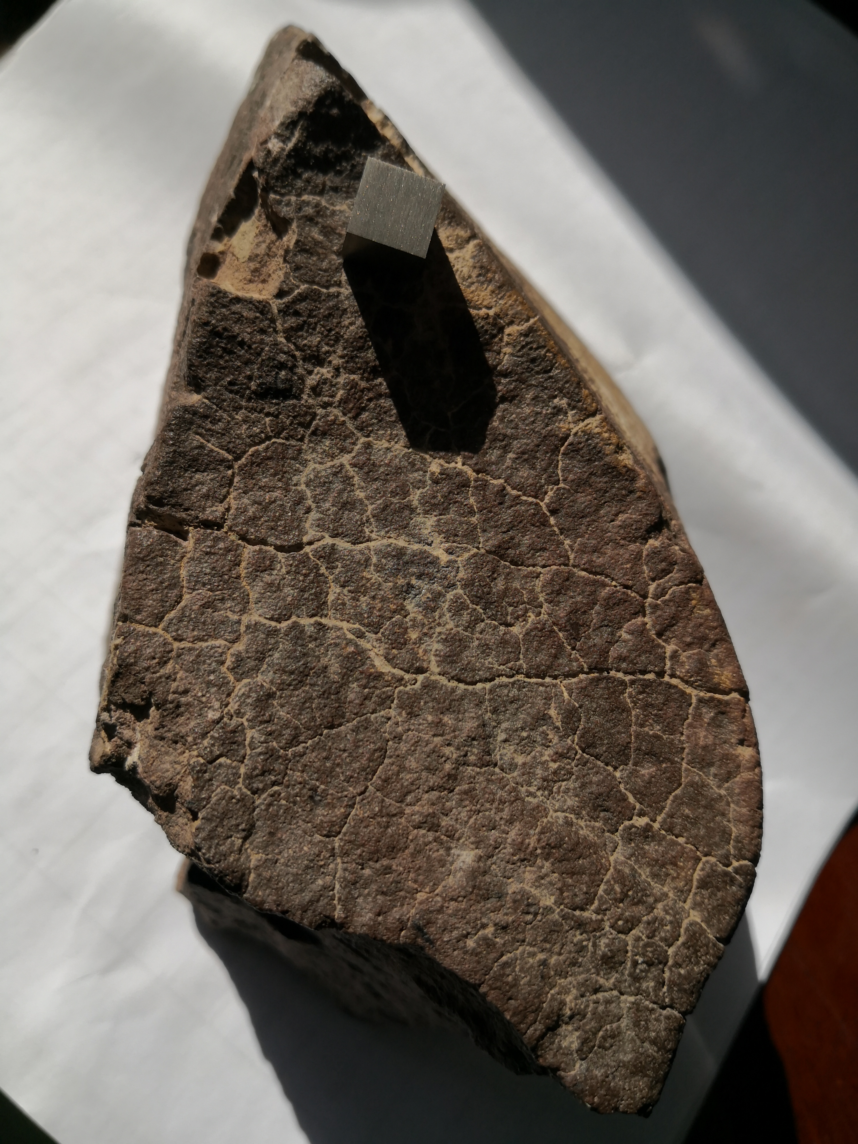 陨石是什么形状的,陨石切面怎样辨别是不是陨石