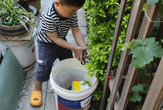 幼小衔接娃写字不好看怎么办,幼小衔接做好十件事