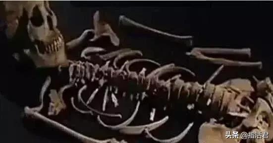 7300年前双性人被当妖魔*杀虐***体下**刺满骨刺~零口姑娘遇害真相