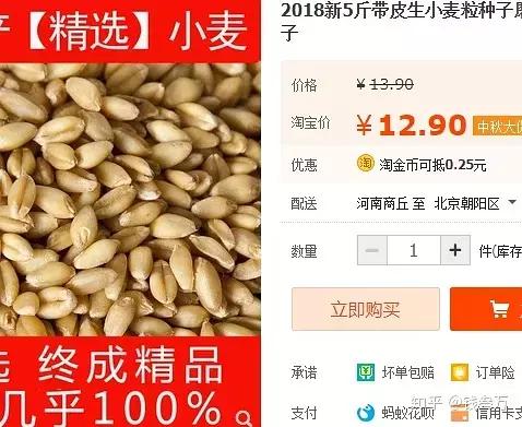 贫民窟女孩养猫好物合集,贫民窟养猫一个月花多少钱