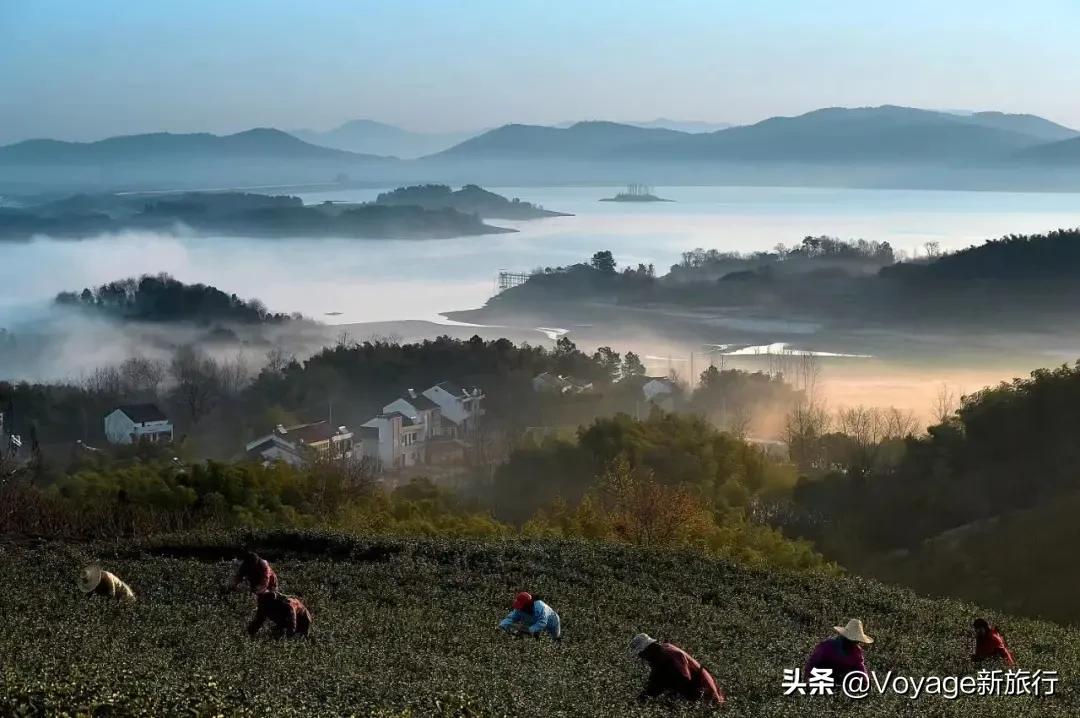 你是我的荣耀齁甜,你是我的荣耀结局甜吗