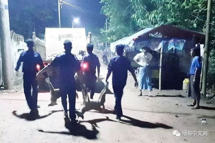 一晚毒杀19条狗狗,毒杀大批狗狗事件