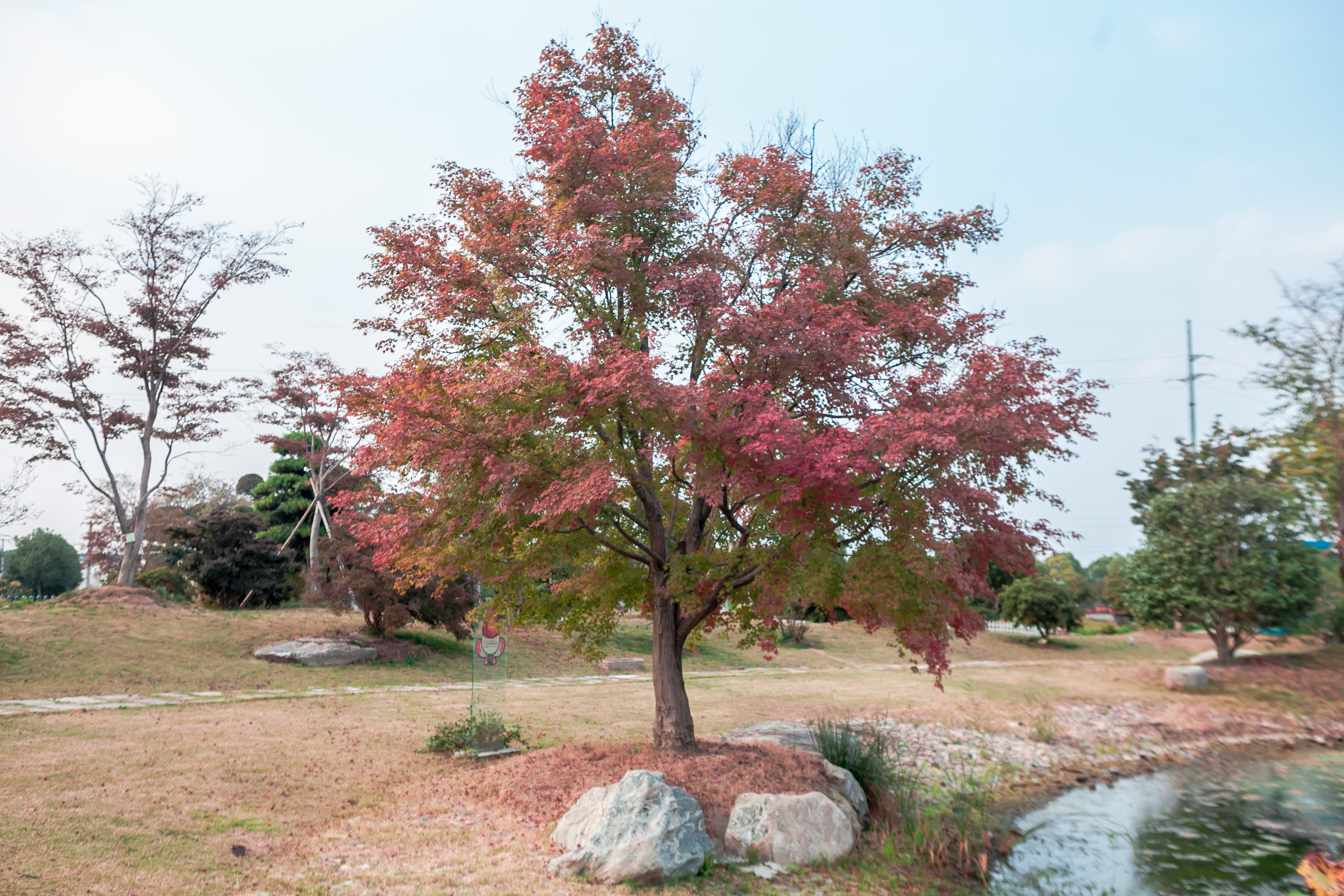 秋天的无锡美的醉人，去无锡旅行，这些好地方不要错过了