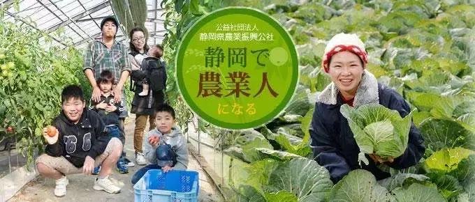 敬畏自然、超前思维、死磕单品，变态的日本农业留给我们的思考！