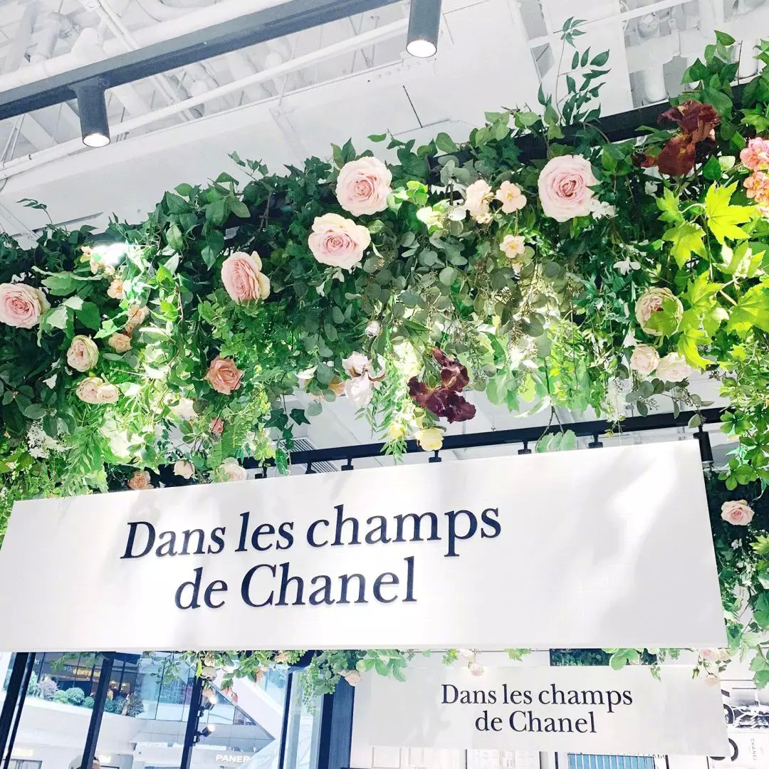 蜡笔小新穿香奈儿同款,盘点蜡笔小新里面的女装