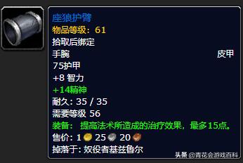 魔兽世界怀旧服pvp恢复,魔兽世界怀旧服pve增强萨满视频