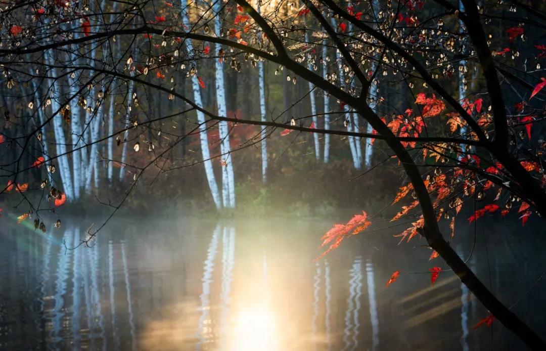 悠然安逸的乡村小院生活,乡村田园生活小院