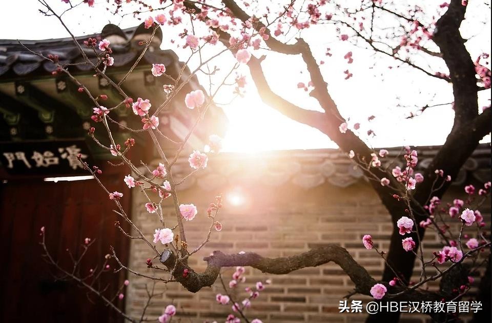 韩国庆北大学有韩语专业吗,韩国庆北大学相当于中国什么大学