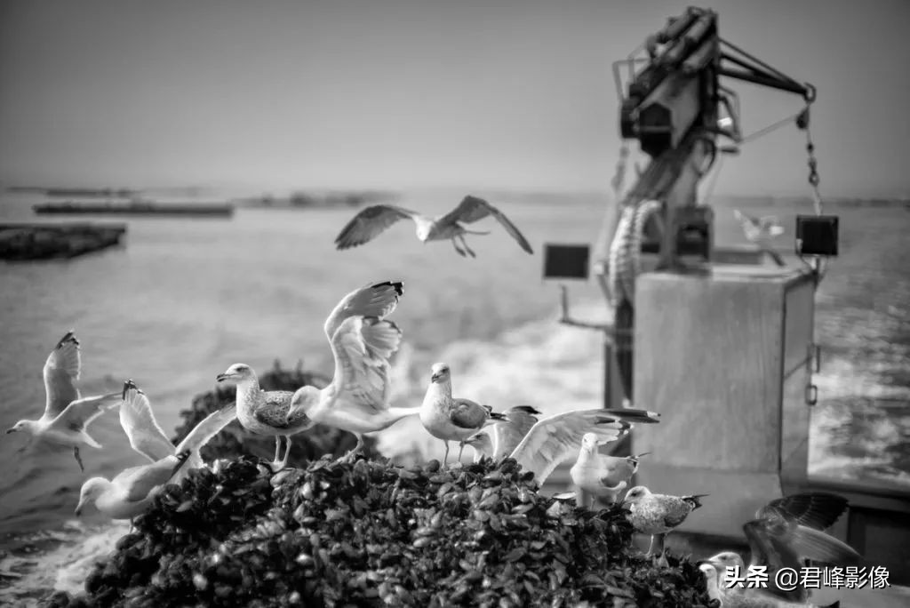 最顶级扫街相机徕卡sl2,徕卡sl2视频功能怎么设置