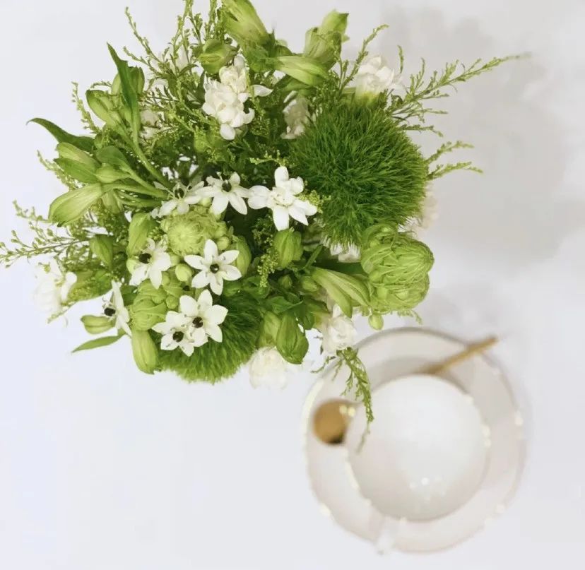 家里要有氛围感什么花比较好,家里高级的花