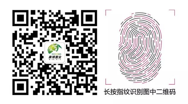 德州康博公馆房子怎么样,德州康博公馆好房评测